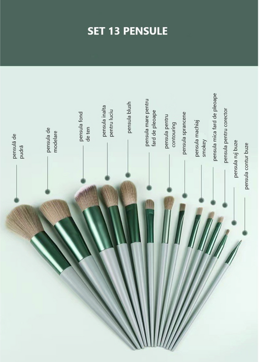 Set 13 pensule de machiaj, pentru uz profesional și începători